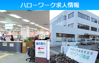 ハローワーク